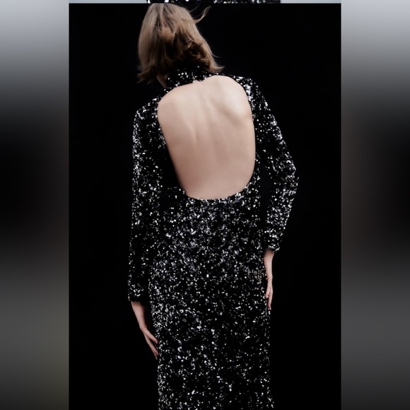 Zara Open Back Sequin Knit Dress Limited Edition NWT - Picture 2 of 15
